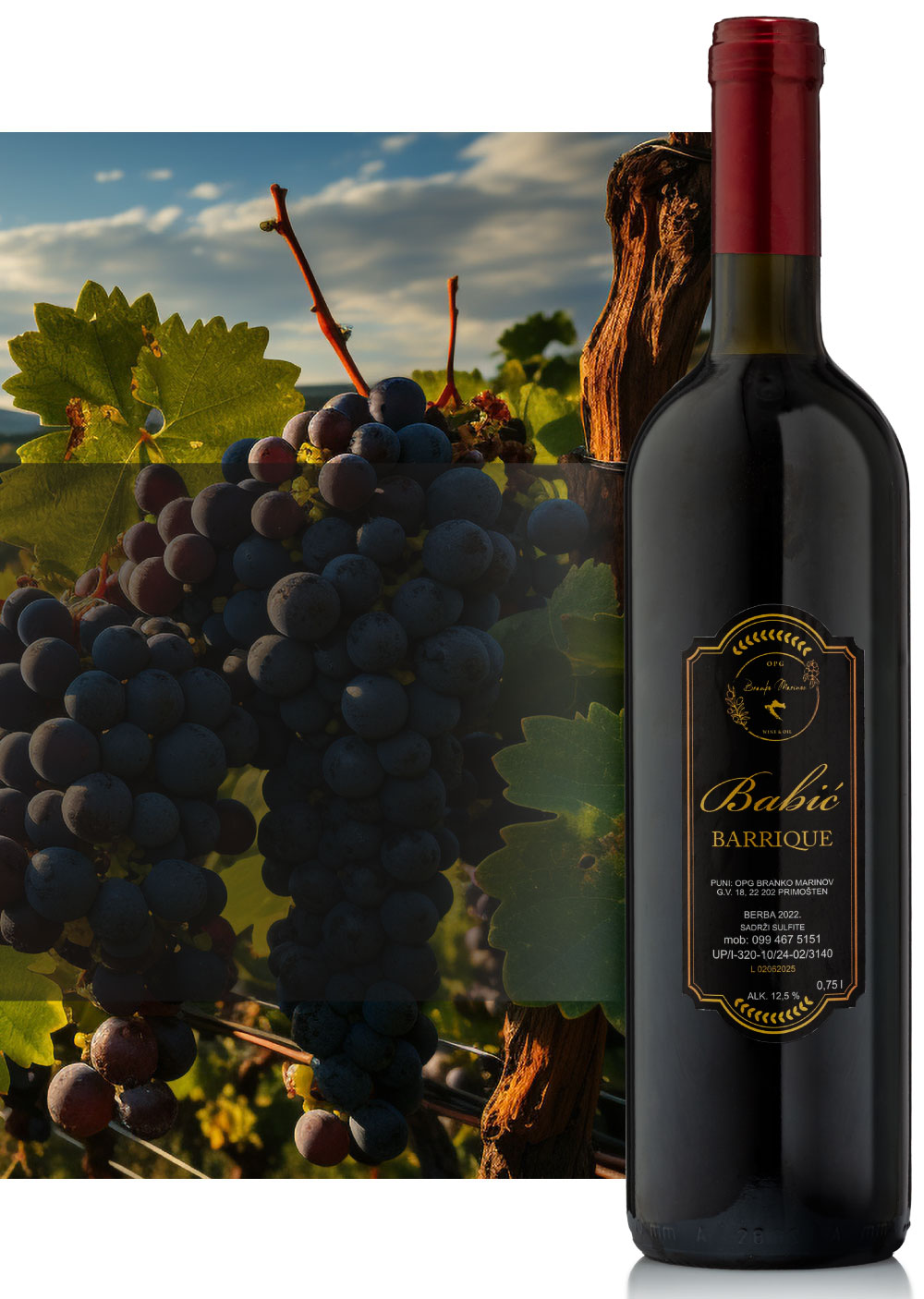 Babic Barrique Wine Vino
