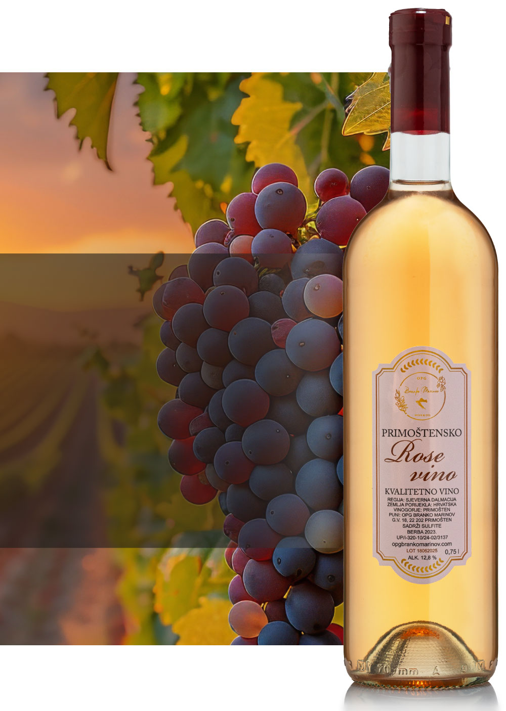 Rose vino wine Primosten